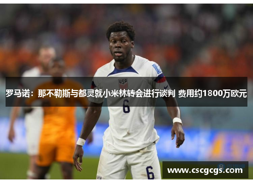 罗马诺：那不勒斯与都灵就小米林转会进行谈判 费用约1800万欧元