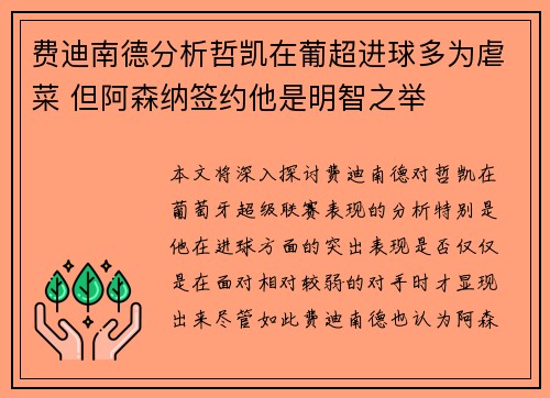 费迪南德分析哲凯在葡超进球多为虐菜 但阿森纳签约他是明智之举